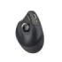 ProtoArc EM05 NL Raton Vertical Trackball Ergonomico Inalambrico - 1600 dpi -  Bluetooth + 2.4Ghz - Bateria Recargable - Multidi