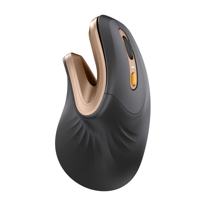 ProtoArc EM11 NL Raton Vertical Ergonomico Inalambrico - 2400 dpi -  Bluetooth + 2.4Ghz - Bateria Recargable - Multidispositivo