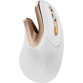 ProtoArc EM11 NL Raton Vertical Ergonomico Inalambrico - 2400 dpi -  Bluetooth + 2.4Ghz - Bateria Recargable - Multidispositivo