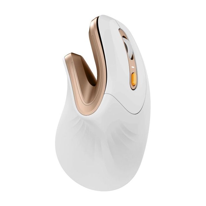 ProtoArc EM11 NL Raton Vertical Ergonomico Inalambrico - 2400 dpi -  Bluetooth + 2.4Ghz - Bateria Recargable - Multidispositivo