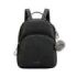 Dohe Black - Gold Mini Mochila - Fabricada en Polipiel - Medidas 26 x 31cm - Color Negro