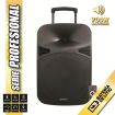 Coolsound Serie Pro Altavoz Autoamplificado Bluetooth 700W 15" 120W con Bateria - USB, Entrada Mic. Jack 6.3mm - 2 Microfono Incluidos - Asa y Ruedas de Transporte - Mando a Distancia