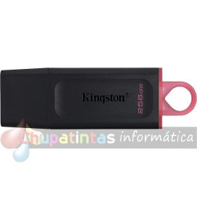Kingston DataTraveler Exodia Memoria USB 256GB - USB 3.2 Gen 1 - Con Tapa - Enganche para Llavero - Color Negro (Pendrive)-1