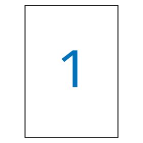 Esselte Funda Porta Documentos Folio PVC Liso Calidad Estandar Multitaladro-16 Transparente