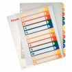 Esselte Indices Proyectos Imprimibles A4 Maxi PP Tipo 1-12 Multicolor Material PP Rigido 300 Micras Portada 350 Micras Tamaño A4 Maxi