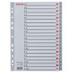 Esselte Abecedarios de Plastico con Caratula Indice A4 - PP - Tipo A-Z - Cartulina Indice: Carton Gris - Material PP - Tamaño A4 - Multitaladro - Presentacion en Bolsa Individual - Color Gris