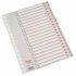 Esselte Abecedarios Plastico Caratula Indice Folio PP A-Z Cartulina Indice Carton Gris A-Z Material PP Tamaño Folio Multitaladro Presentacion Bolsa Individual