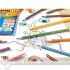 Bic Kids Evolution Stripes Caja de 18 Lápices de Colores Surtidos-5