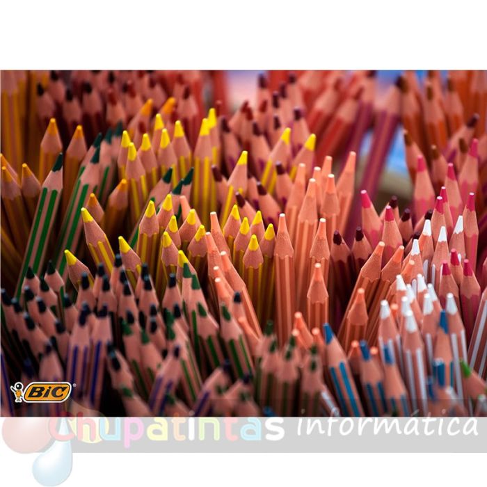 Bic Kids Evolution Stripes Caja de 18 Lápices de Colores Surtidos-6