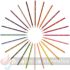 Bic Kids Evolution Stripes Caja de 24 Lápices de Colores Surtidos-5