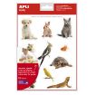 Apli Gomets Tematicos Realistas de Mascotas - 132 Gomets en 12 Hojas - Adhesivo Removible - Ideal para Desarrollar Habilidades Motoras - Normas EN-71 y FSC - 100% Reciclables - Coloridos