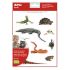 Apli Gomets Tematicos Realistas de Reptiles y Anfibios - 20 Gomets - Imagenes Realistas para Relacionar Animales - Adhesivo Removible - Adhesivo Base Agua - Libre de Disolventes - Descubre el Surtido