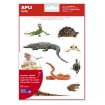 Apli Gomets Tematicos Realistas de Reptiles y Anfibios - 120 Gomets - Imagenes Realistas para Relacionar Animales - Adhesivo Removible - Ideal para Escuelas - Reciclables - Coloridos
