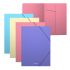 Erichkrause Pack de 4 Carpetas Solapas Matt Pastel - A4 - Colores Surtidos
