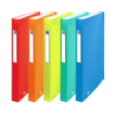 Oxford Urban A4+ Clasificador de 8 Posiciones - Tapa de Plastico Translucido - Ideal para Organizar Documentos - Colores Surtidos