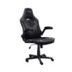 Trust GXT 703 Riye Silla Gaming - Reposabrazos - Ruedas de Nylon - Piston de Gas Clase 4 - Base Metal - Peso Max. 140Kg - Color Negro