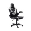 Trust GXT 703W Riye Silla Gaming - Reposabrazos - Ruedas de Nylon - Piston de Gas Clase 4 - Base Metal - Peso Max. 140Kg - Color Negro/Blanco