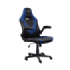 Trust GXT 703B Riye Silla Gaming - Reposabrazos - Ruedas de Nylon - Piston de Gas Clase 4 - Base Metal - Peso Max. 140Kg - Color Negro/Azul