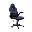 Trust GXT 703B Riye Silla Gaming - Reposabrazos - Ruedas de Nylon - Piston de Gas Clase 4 - Base Metal - Peso Max. 140Kg - Color Negro/Azul