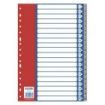 Dohe Separadores para Archivadores y Carpetas de Anillas - 120 Micras - Multitaladro de 16 Perforaciones - Bolsa Autoadhesiva Individual