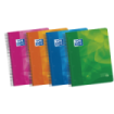 Oxford School Lagoon A4+ Europeanbook 4 - Tapa de Plastico Resistente - 120 Hojas con Separadores - 50% mas Hojas Gratis - Colores Surtidos