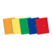 Enri Europeanbook1 A4+ - Cuaderno de Tamaño A4+ - Espiral - Tapa Blanda - Cuadricula de 5x5