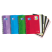 Oxford School Classic Europeanbook 4 Cuaderno Doble Espiral A4+ Cuadricula 5x5 - 120 Hojas Microperforadas 4 Taladros - Tapa Extradura Resistente - Incluye 3 Separadores - Colores Surtidos