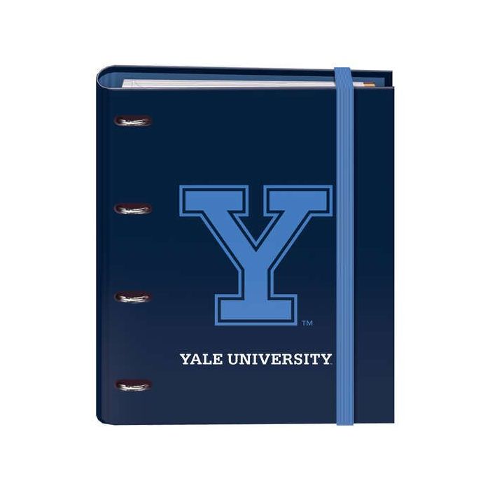Dohe Cuaderno de Carton Forrado - 35mm - 100 Hojas Offset 90g - Cuadricula 5mm - 4 Separadores Polipropileno - Sobre Transparente Velcro