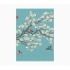 Pictura Cuaderno A5 - 15x21cm - 48 Paginas con Lineas - Papel con Certificacion FSC