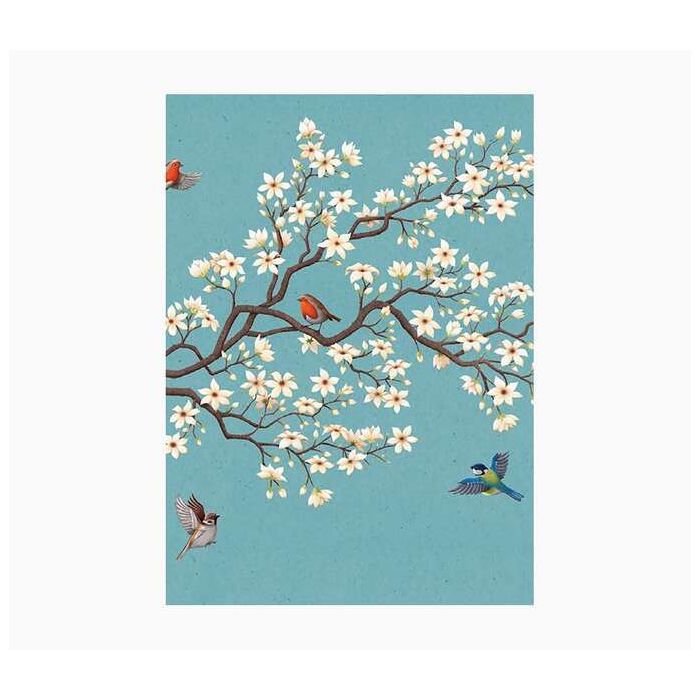 Pictura Cuaderno A5 - 15x21cm - 48 Paginas con Lineas - Papel con Certificacion FSC