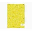 Pictura Cuaderno A5 - 15x21cm - 48 Paginas con Lineas - Papel Certificado FSC