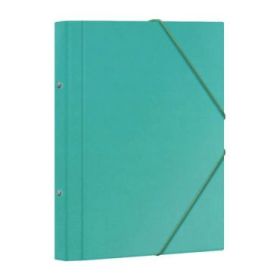Dohe Carpeta Clasificadora 12 Departamentos - Formato Folio - Carton Plastificado - Cierre con Gomas - Color Verde Claro
