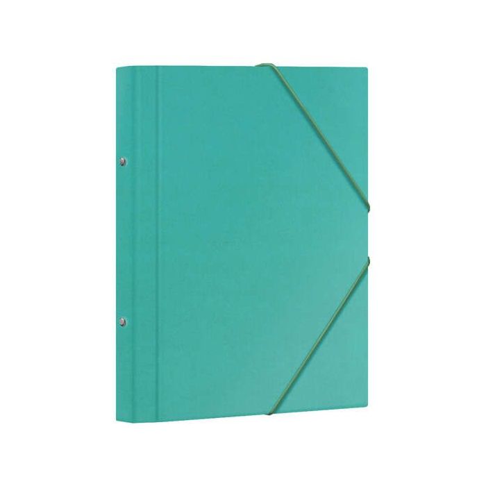 Dohe Carpeta Clasificadora 12 Departamentos - Formato Folio - Carton Plastificado - Cierre con Gomas - Color Verde Claro