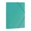 Dohe Carpeta Clasificadora 12 Departamentos - Formato Folio - Carton Plastificado - Cierre con Gomas - Color Verde Claro