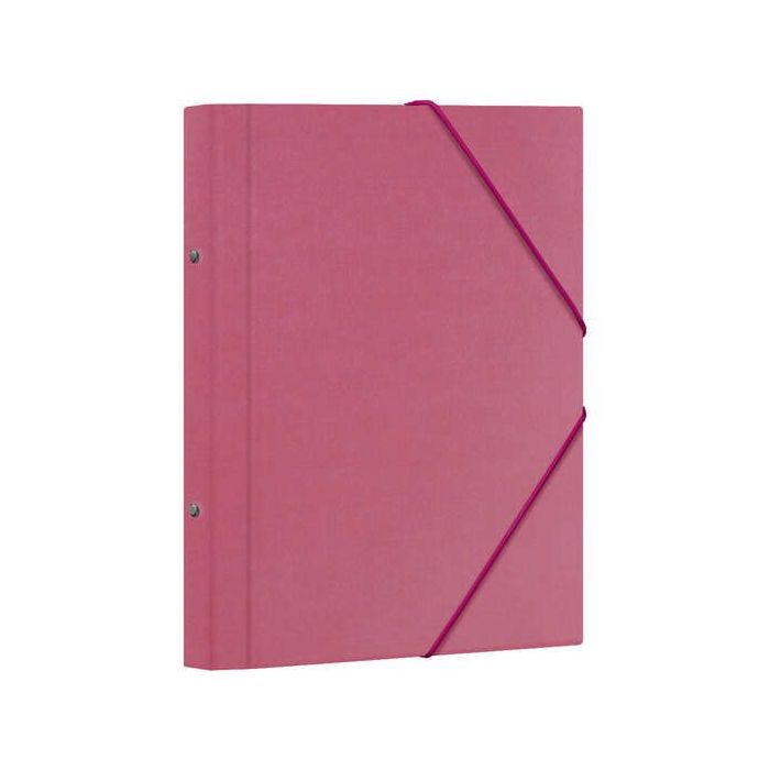 Dohe Carpeta Clasificadora 12 Departamentos - Formato Folio - Carton Plastificado - Cierre con Gomas - Color Rosa