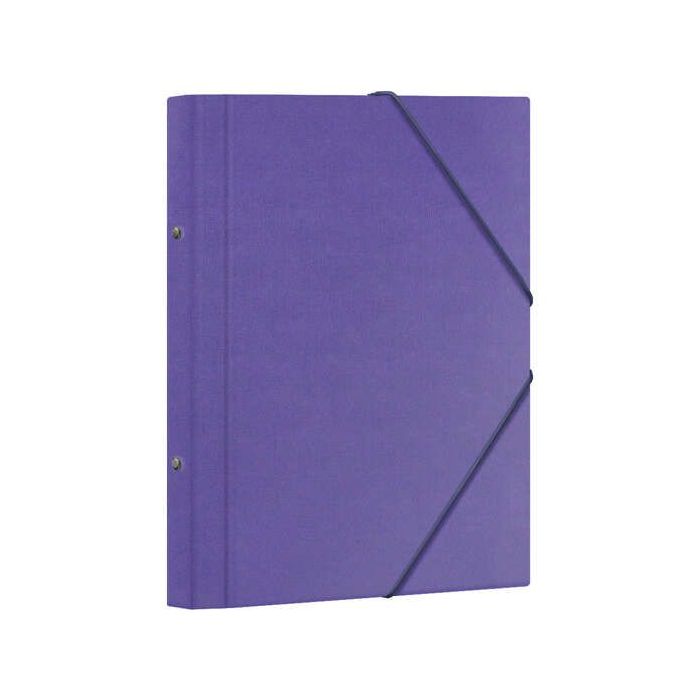 Dohe Carpeta Clasificadora 12 Departamentos - Formato Folio - Carton Plastificado - Cierre con Gomas - Color Morado