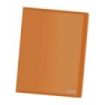 Dohe Carpetas con Fundas Din A4 - Tapa Flexible de Polipropileno - Fundas Transparentes Soldadas - Organiza Tus Documentos con Estilo