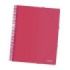 Dohe Carpeta con 30 Fundas Tamaño A4 - Tapa de Polipropileno Opaco 800 Micras - Fundas Transparentes 80 Micras - Espiral de Plastico Color - Gomas Elasticas a Juego