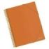 Dohe Carpeta con 30 Fundas Tamaño A4 - Tapa de Polipropileno Opaco 800 Micras - Fundas Transparentes 80 Micras - Espiral de Plastico Color y Gomas Elasticas a Juego