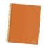Dohe Carpeta con 40 Fundas Tamaño A4 - Tapa de Polipropileno Opaco de 800 Micras - Fundas Transparentes de 80 Micras - Espiral de Plastico de Color - Gomas Elasticas a Juego