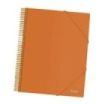 Dohe Carpeta con 40 Fundas Tamaño A4 - Tapa de Polipropileno Opaco de 800 Micras - Fundas Transparentes de 80 Micras - Espiral de Plastico de Color - Gomas Elasticas a Juego