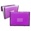 Ingraf Carpeta Frame Fuelle 13 Bolsillos Tamaño A4 - Polipropileno Translucido - Gomas y Solapas - Color Rosa