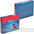 Erichkrause Duo - Pack 12 Sacapuntas Doble de Plástico - Contenedor - Cuchilla de Acero al Carbono - Colores Azul Rosa y Verde-7