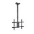 Tooq Soporte de Techo para Pantallas 32-75" - Angulo de Giro 180º - Inclinable - Gestion de Cables - Peso Max. 60kg - VESA Max. 400x400mm - Color Negro