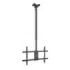 Tooq Soporte XL de Techo para Pantallas 43-86" - Angulo de Giro 180º - Inclinable - Gestion de Cables - Peso Max. 60kg - VESA Max. 600x400mm - Color Negro