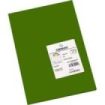 Canson Guarro Pack de 50 Cartulinas Iris A4 de 185g - 21x29.7cm - Color Verde Safari