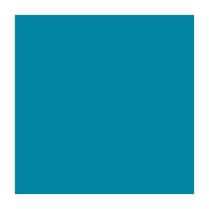 Canson Guarro Pack de 25 Cartulinas Iris de 185g - 50x65cm - Color Azul Caribe