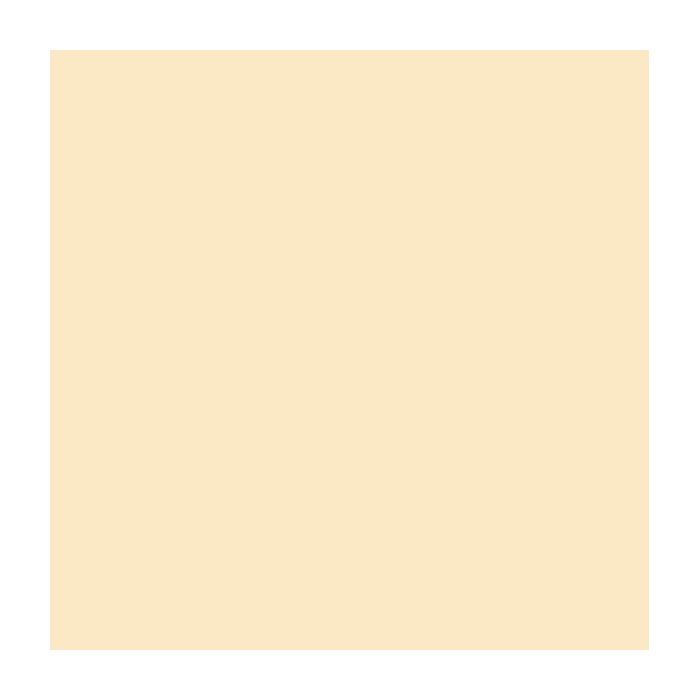 Canson Guarro Pack de 25 Cartulinas Iris de 185g - 50x65cm - Color Cascara Huevo