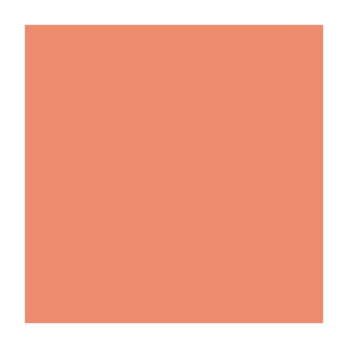 Canson Guarro Pack de 25 Cartulinas Iris de 185g - 50x65cm - Color Coral