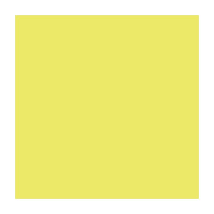 Canson Guarro Pack de 25 Cartulinas Iris de 185g - 50x65cm - Color Kiwi